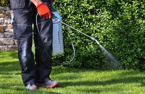 How to Choose the Best Types of Herbicide Sprayers for Your Jobs Pesticide Sprayers