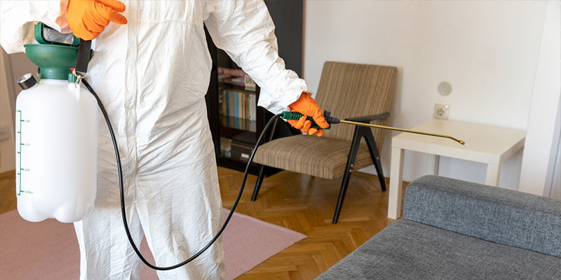 Four Reasons to Invest in Sanitation Sprayers