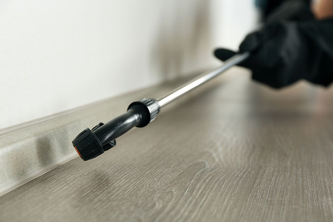 How the Correct Pest Control Sprayers Help Your Business