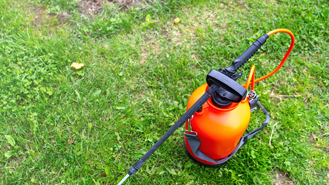 Battery-Powered Sprayers: Their Many Benefits and Uses