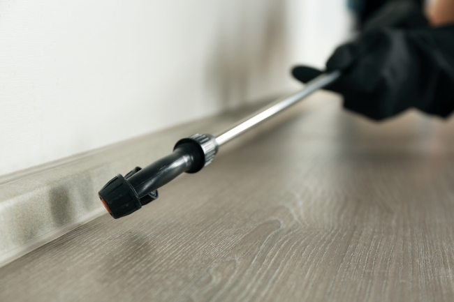 What to Consider When Ordering Pest Control Sprayers