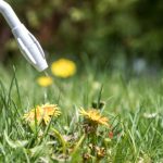 3 Characteristics of Effective Herbicide Sprayers
