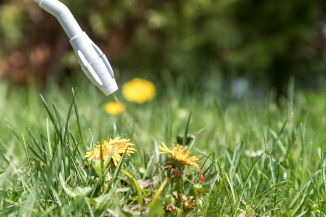 3 Characteristics of Effective Herbicide Sprayers